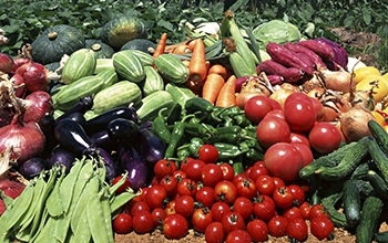 美瑛産野菜